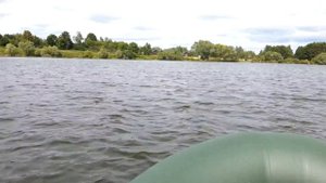 BoatMaster 310k vs. Mercury 4
