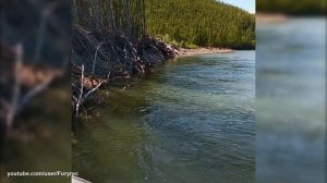 Рыбалка на Колыме. Река Аян-Юрях. Кайфуем! Магаданская область