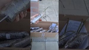 отзыв о росток питомник