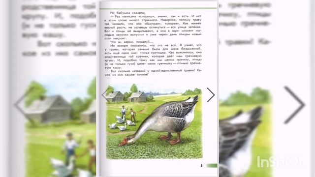 Птичья гречишка. Зелёные страницы. Окружающий мир 1 класс. #школароссии #начальнаяшкола #аудиокнига