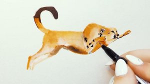 Гепард-Самое Быстрое Млекопитающее! Легко и Просто!