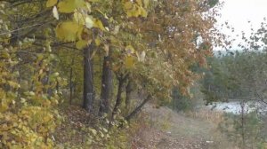 Белорецк. Осетровский пруд, 01 10 2021