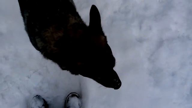 Ия бесится. смотреть онлайн