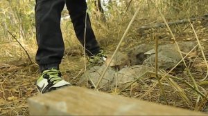 ЭКСТРЕМАЛЬНОЕ ВЫЖИВАНИЕ В ЛЕСУ!