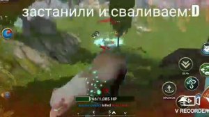 БАГИ В WOLF TALES
