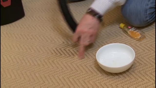 How to Remove Pet Urine From Carpet - Tips From Dry Cleaning Expert смотреть онлайн
