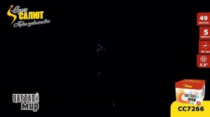 сс7266-Цветной мир