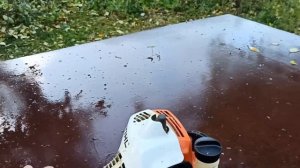 Я не сливаю бензин из ТРИММЕРА на зиму. Никогда.