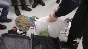 Ирина Волк: Полицейскими пресечен незаконный оборот синтетических наркотиков на территории ДФО