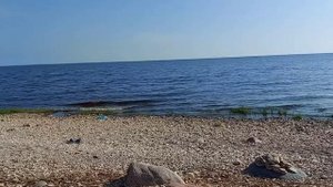 озеро Ильмень, Место куда хочется вернуться