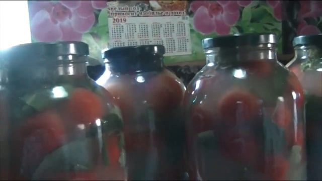"ПАЛЬЧИКИ ОБЛИЖЕШЬ" Вкуснейшие малосольные помидоры по старинному рецепту. Очень простой рецепт.