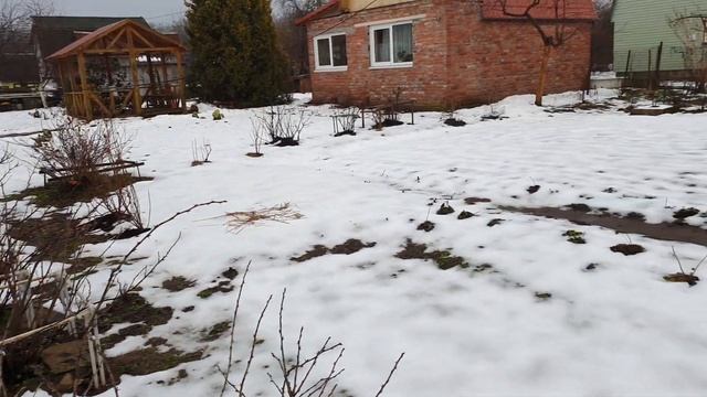 Крах теплицы. Снегопад в Прибалтике. Опять убытки. смотреть онлайн