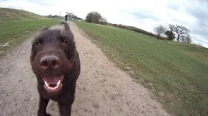 GoPro First Test Mar 10 2011