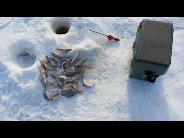 Классная рыбалка на р.Исеть в середине зимы #NIK_72 смотреть онлайн