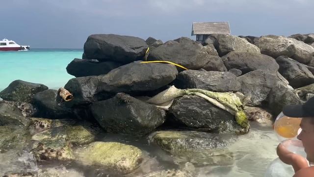 Мы на Мальдивах!Улетели в отпуск!Ника весь день с папой! смотреть онлайн