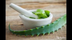 Что будет - если жевать алоэ