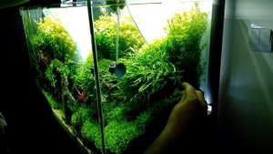 EHEIM Air Diffuser for Air Pump 100/200/400 - Setup, Test, In depth review (Air stone, Aeration)