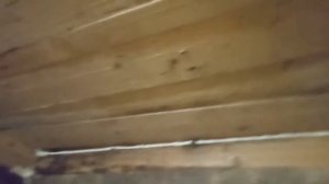 Покраска деревянного потолка в бане