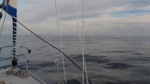 Из жизни яхтсмена. Путешествие на яхте Albin Vega из Выборга на Мадейру