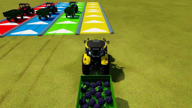 BLACKBERRIES TRANSPORTATION CHALLENGE WITH LANDINI TRACTORS - Farming Simulator 22 смотреть онлайн