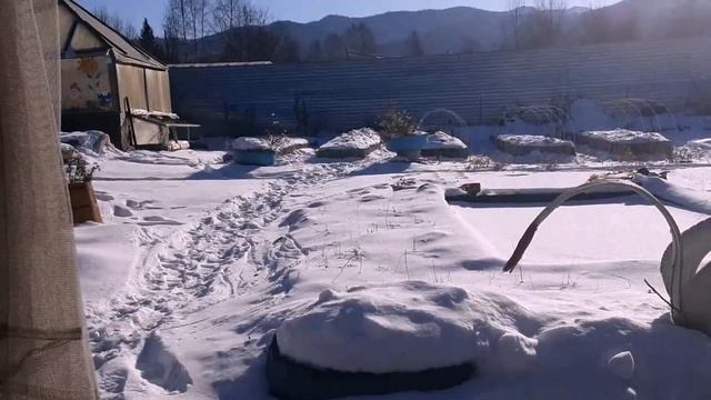 Рассказываем о поездке на юг: что понравилось, что - нет. Черепашка гуляет по снегу.Муся на качелях смотреть онлайн