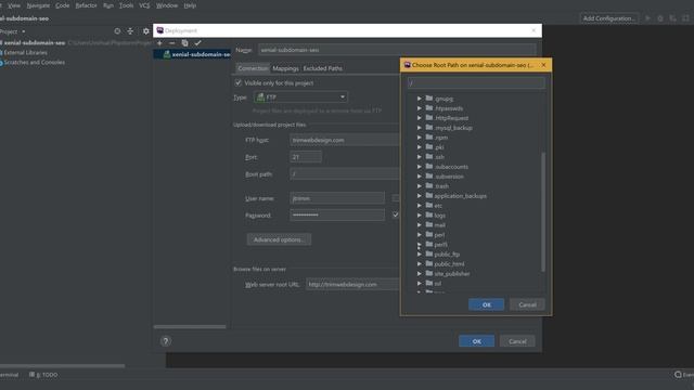 PHPStorm FTP Server Connection to Remote Host смотреть онлайн
