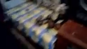 комната егора летова в родительской квартире 30.07.10