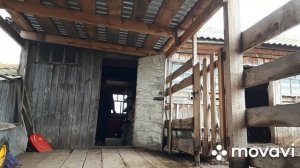 БЫСТРОЕ кормление бычков!!!