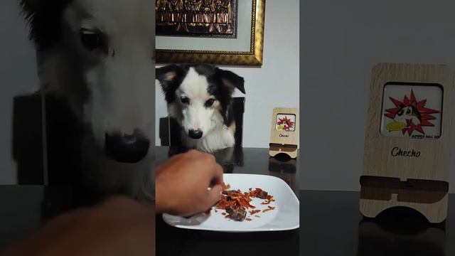 Carne deshidratada para perros #barf #pets #dog #perros #perro #dogfood #adiestramientocanino #asmr