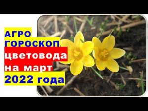 Агрогороскоп цветовода на март 2022 года