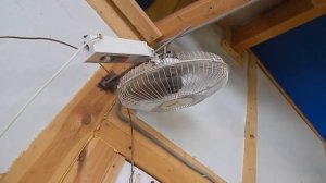 Булерьян в гараже. четыре года, полёт нормальный.