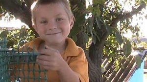 последнее пристанище мишки япончика