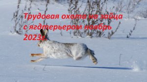 Охота на зайца с ягдтерьером ноябрь 2023. Добираемся на охоту на мотоцикле эндуро!!!