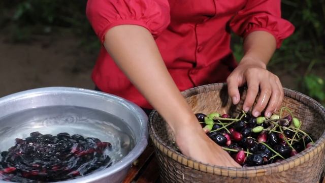 Fresh java plum in my homeland - Tasty fruit смотреть онлайн