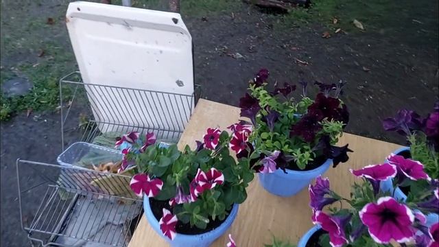 КУПИЛИ ДАЧУ ВОДОПРОВОД в беседку СТОЛ своими руками СТАВОК вместо МОРЯ смотреть онлайн