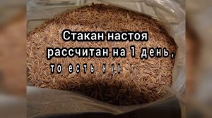 Лечим желудок, язву желудка, гастрит. 100 % побеждает этот способ лечения Проверено неоднократно