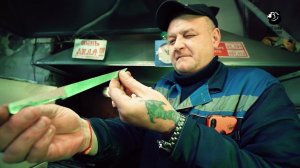 Виды и разновидности кухонных ножей. Универсальный кухонный нож // Живая сталь