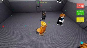 THE ROBLOX CHAMBER