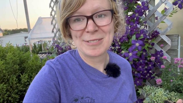 Clematis season is here!