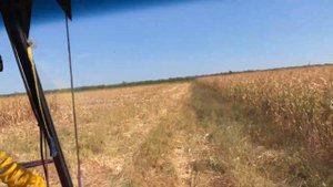 Уборка кукурузы комбайном Полесье GS12 Урожайность 39ц/га