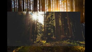 Спокойная музыка.