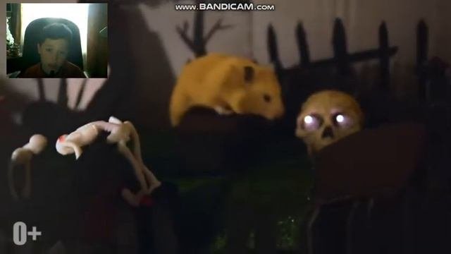 хомячок проходит хеллоуин лабиринт!