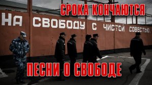 СРОКА КОНЧАЮТСЯ | Песни о свободе #русскийшансон