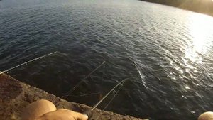 Ловим саргана,ставриду в акватории лимана.)