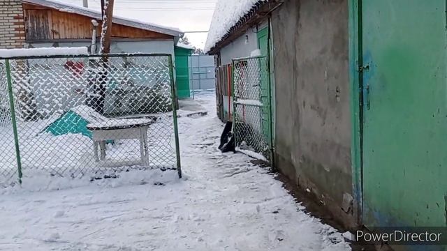 снежная сказка. смотреть онлайн