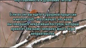 К чему снится Гроб сонник, толкование сна