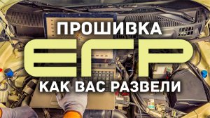 ? Всероссийский лохотрон. Как самому проверить, отключили вам ЕГР или нет.