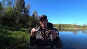 ТОП 5 ВОБЛЕРОВ НА ЖЕРЕХА ВЕСНОЙ ДЛЯ МАЛЫХ И СРЕДНИХ РЕК