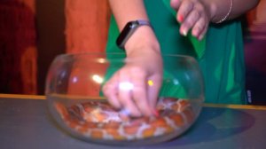 Форт Боярд - Молодежь