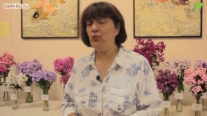 Какой уход требуют флоксы? Советы эксперта